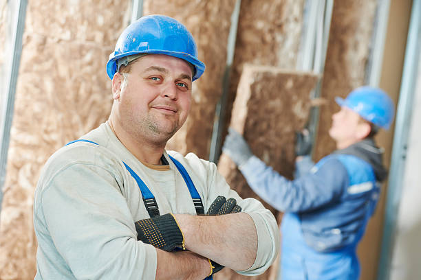 Best Insulation Maintenance and Repair in Bradley, IL